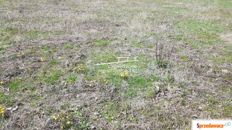 Michałowice, działka budowlana - Działki na sprzedaż - Pęcice