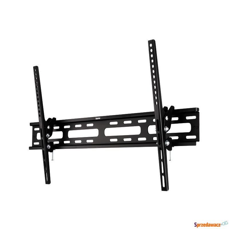 Hama Motion XL 75''