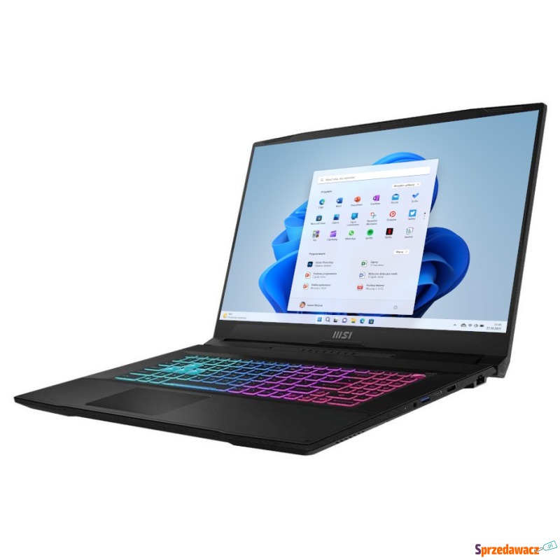 MSI Katana 17 B12UCRK-1055XPL -...