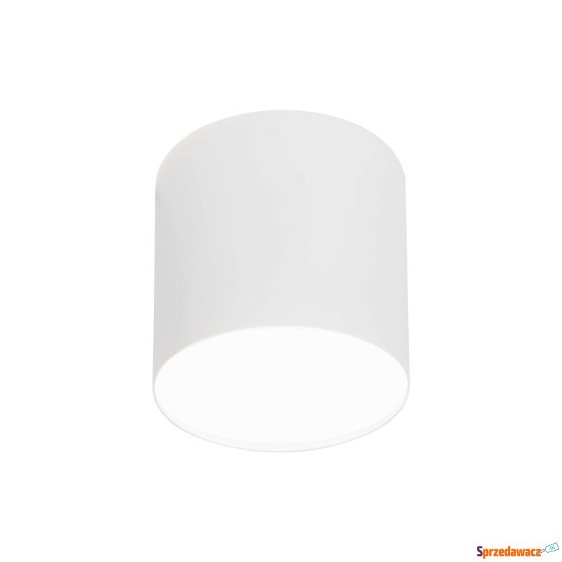 SPOT POINT PLEXI LED WHITE 6525 Nowodvorski - Plafony - Olsztyn