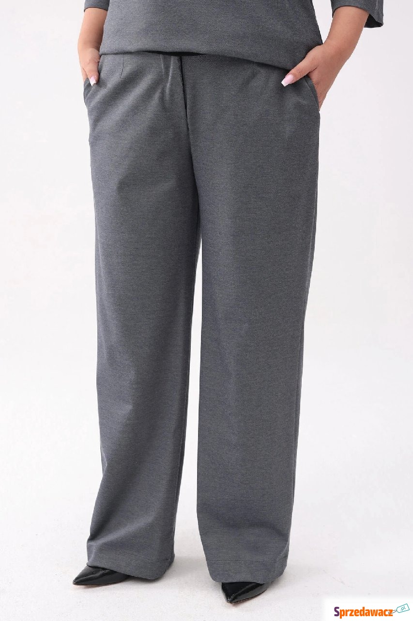 Eleganckie grafitowe spodnie Soft...