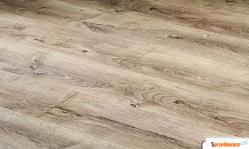 Panele Swiss Krono Dąb Mateo 2590...