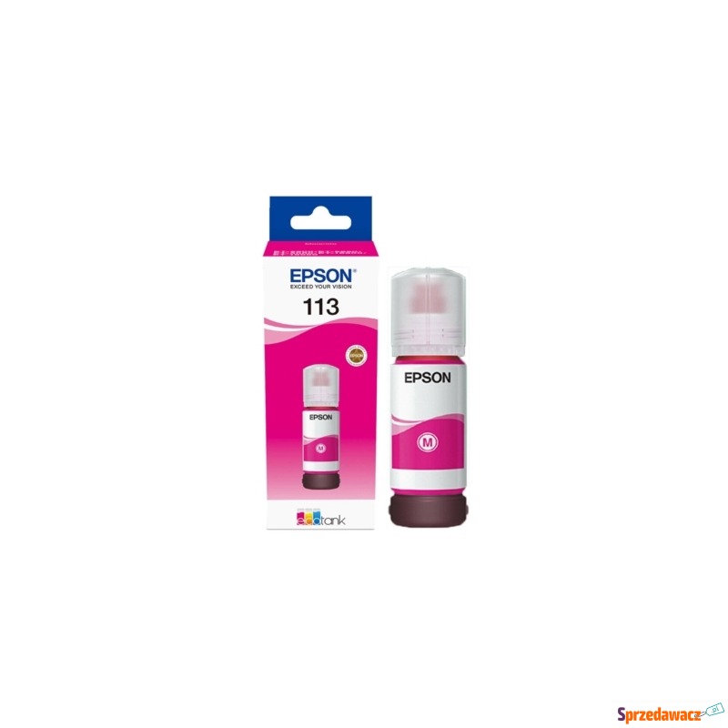 Tusz Oryginalny Epson 113 (C13...