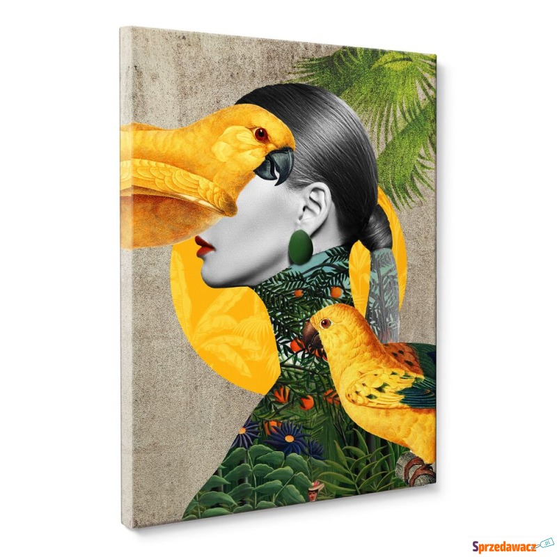 SELSEY Obraz Parrot Girl 100x70...