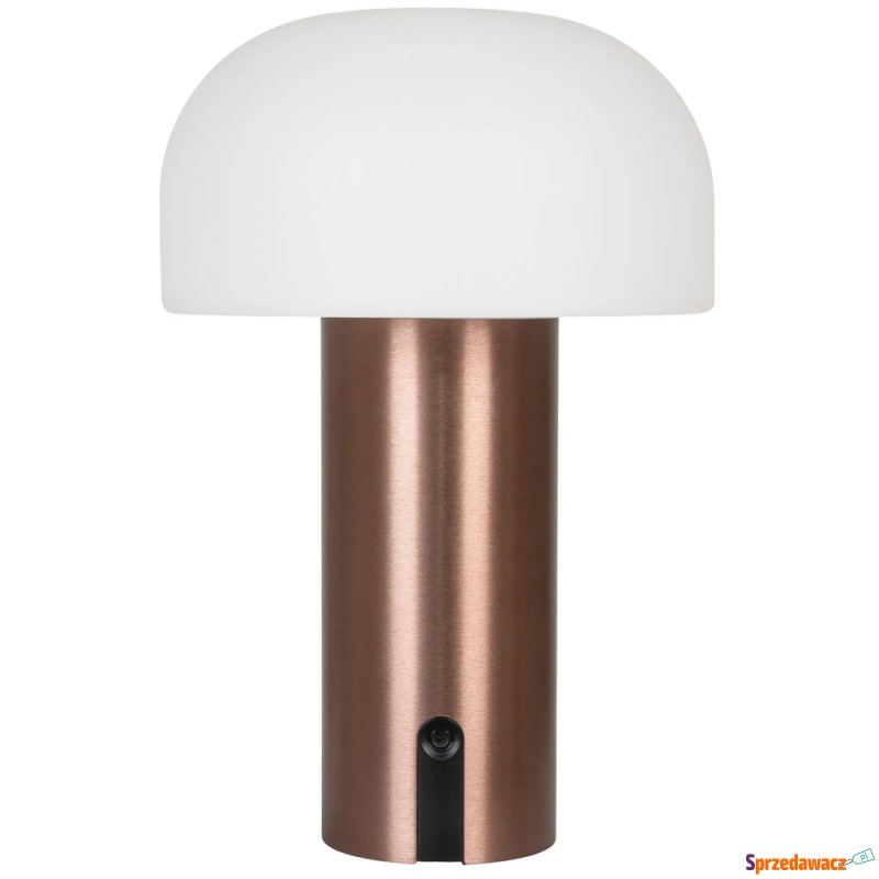SELSEY Lampa ogrodowa Soham LED...