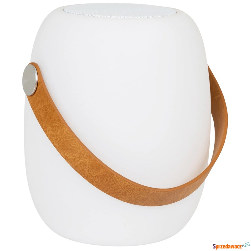 SELSEY Lampa ogrodowa Cardiff LED...