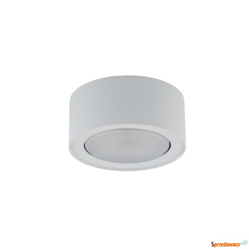Lampa natynkowa FLEA WHITE 12W...