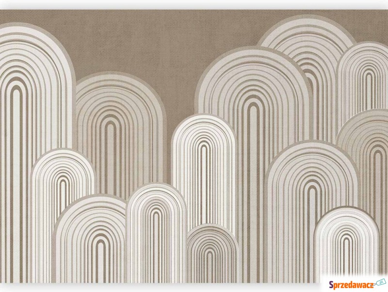 SELSEY Fototapeta Line-art 250x175...