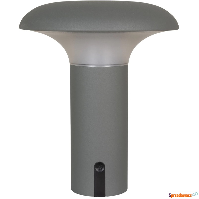 SELSEY Lampa ogrodowa Miraeled...