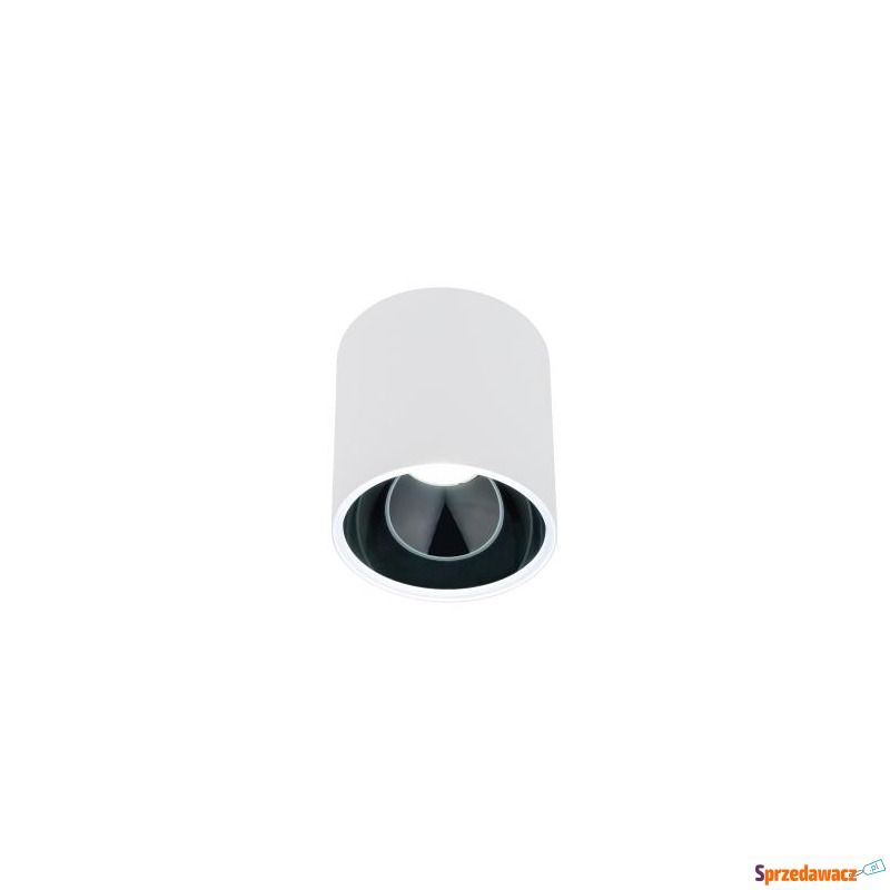Tuba HALO WHITE/BLACK 8195 Now...