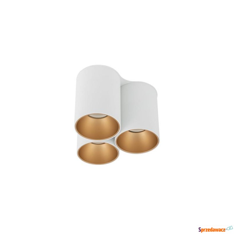 Spot EYE TONE III WHITE/GOLD 7666...