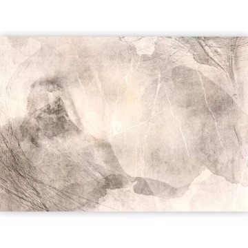 SELSEY Fototapeta Nocna abstrakcja 350x256 cm - Genesis