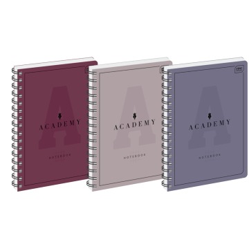Kołozeszyt Academy notebook A5 100 kartek Interdruk