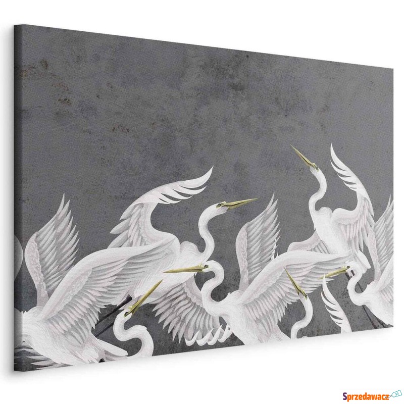 SELSEY Obraz Trzepot skrzydeł 90x60 cm - Genesis - Obrazy - Wrocław