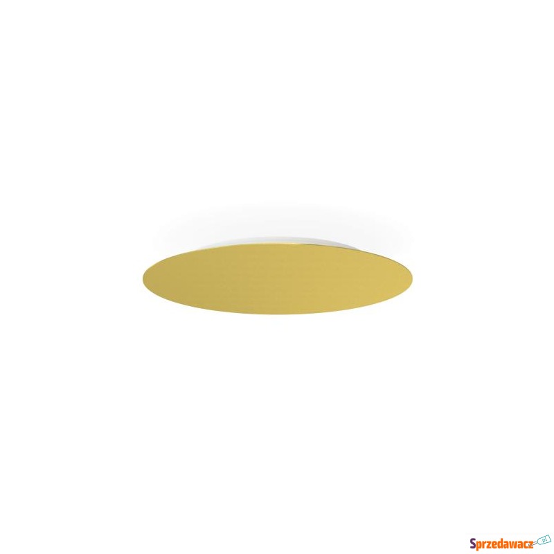 Puszka CAMELEON CANOPY A 10336...