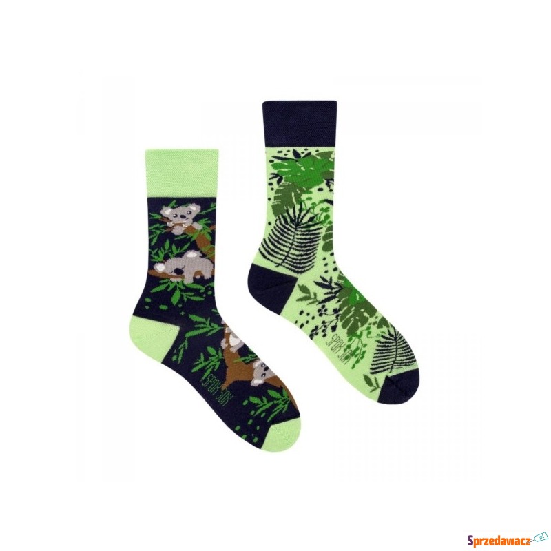 Skarpetki Koala Spox Sox