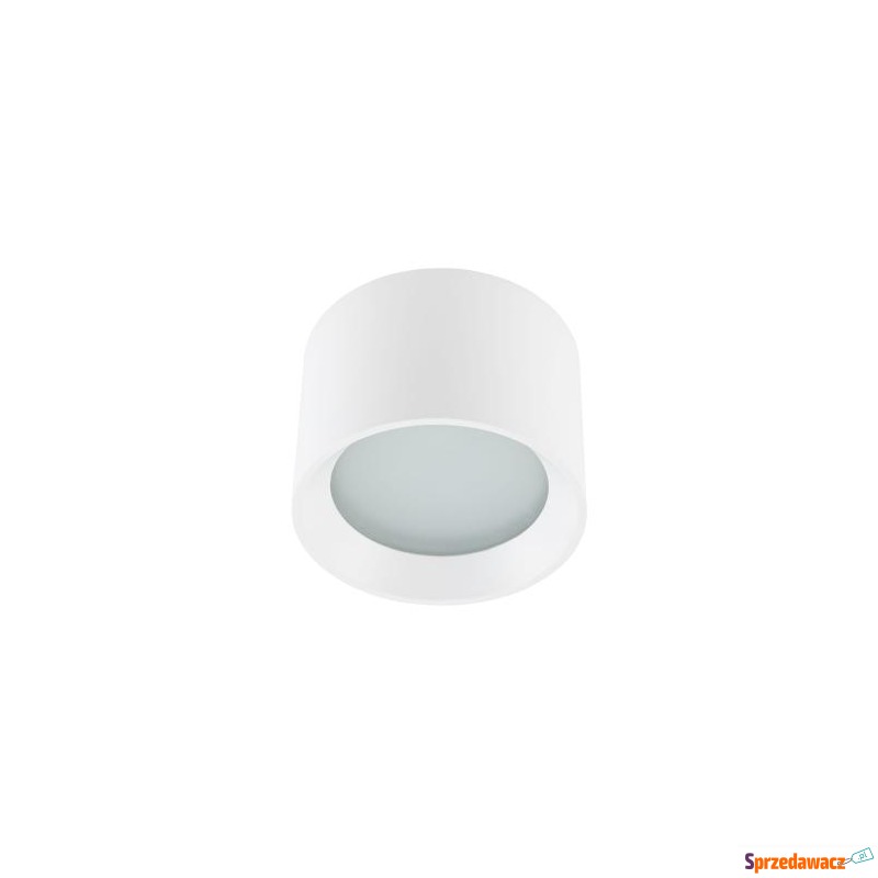 Spot lampa natynkowa MAUN Biały...