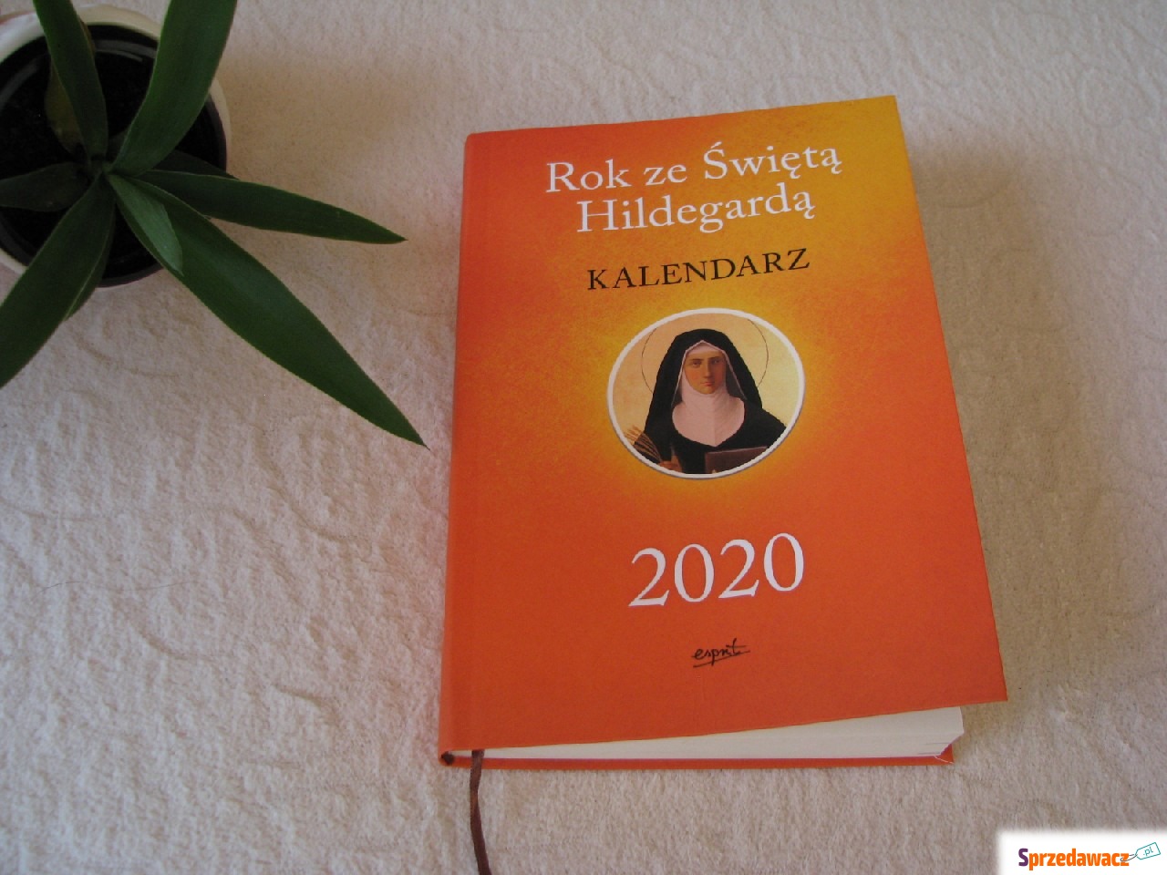 Kalendarz książkowy Rok ze Świ...