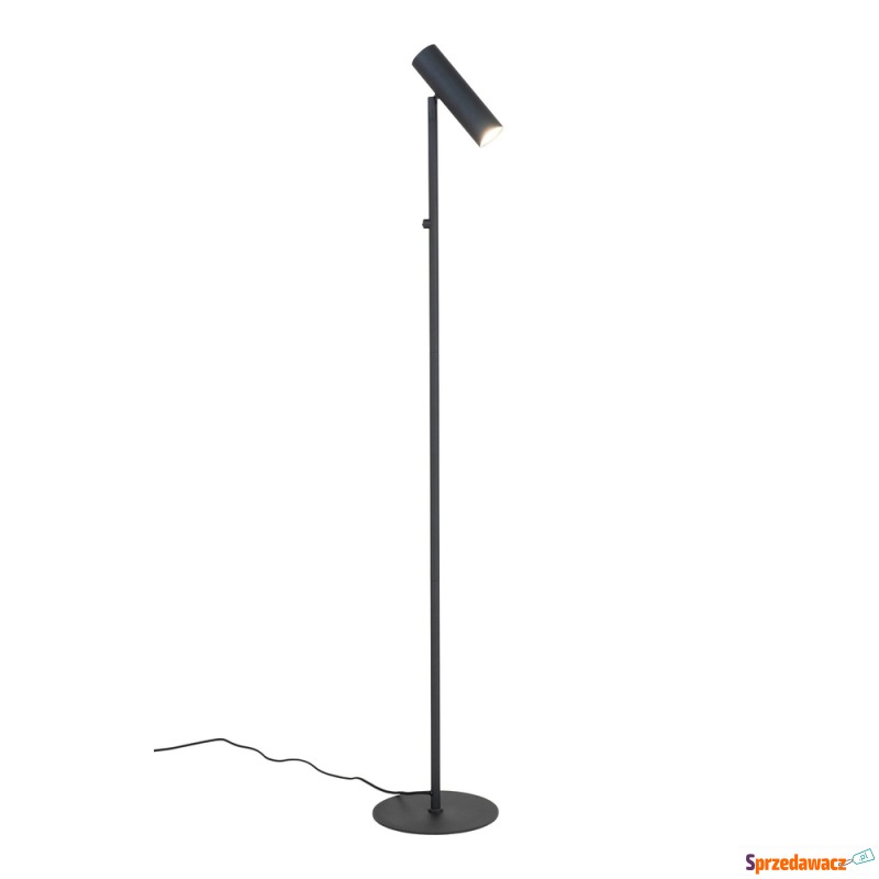 SELSEY Lampa podłogowa Icaters...