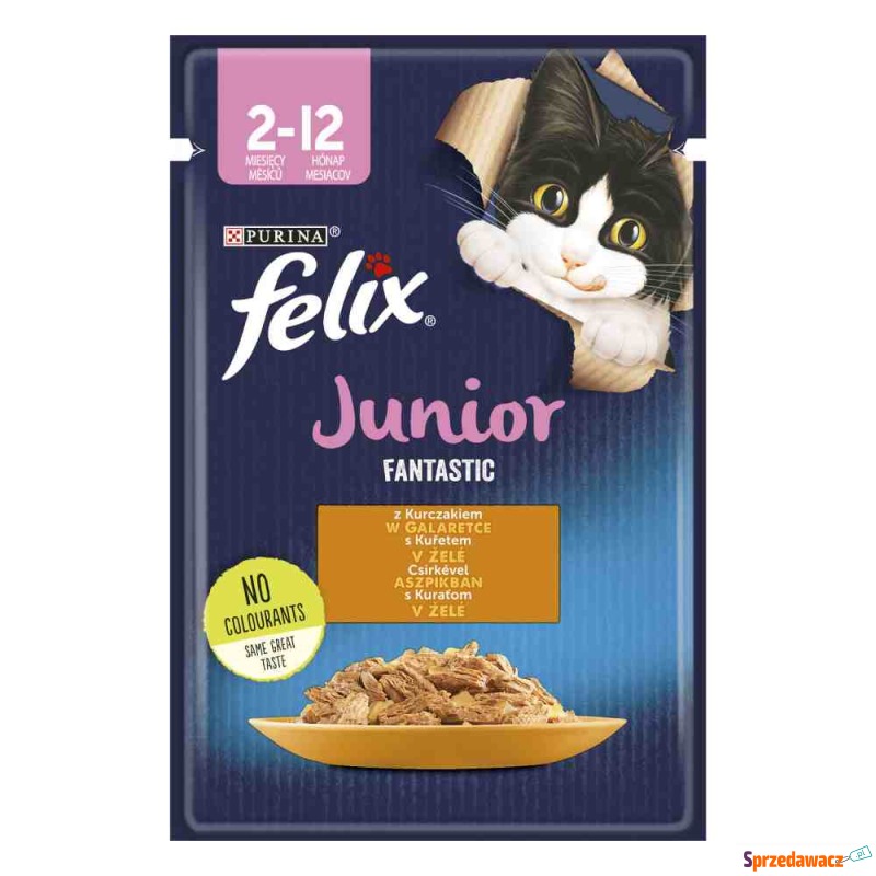 Felix Junior Fantastic w sasze...