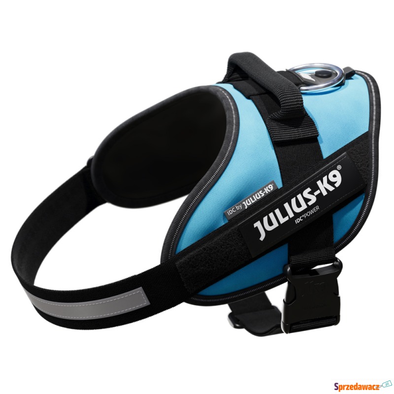 JULIUS-K9 IDC® Power szelki dla psa, akwamaryn... - Smycze i obroże - Poznań