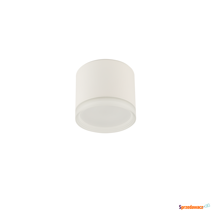 Lampa sufitowa SILBA 10476 Nowodvorski Lighting - Plafony - Poznań