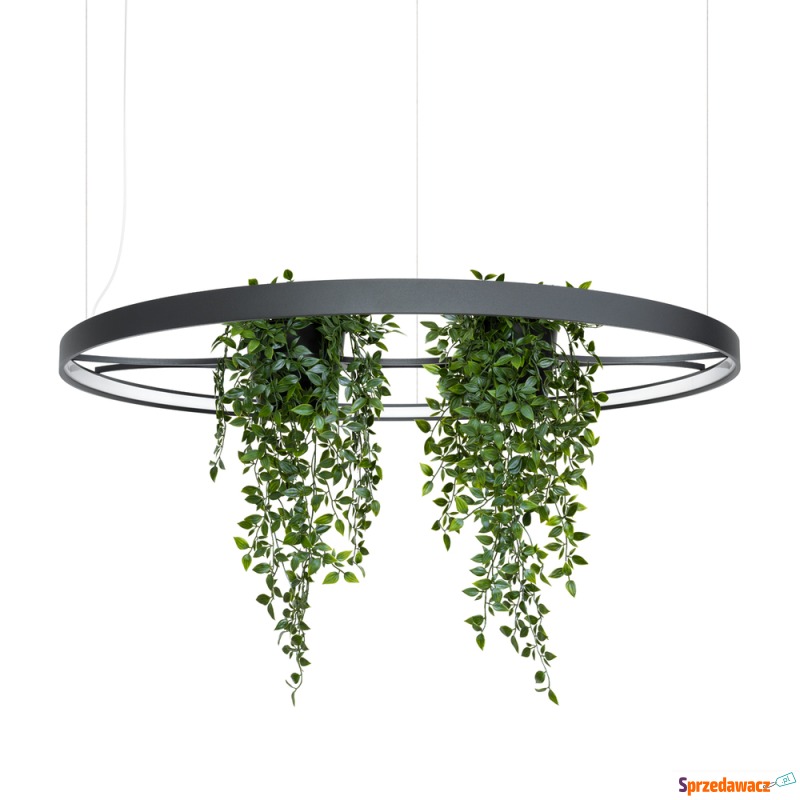 SELSEY Żyrandol Rio Bio LED 110...