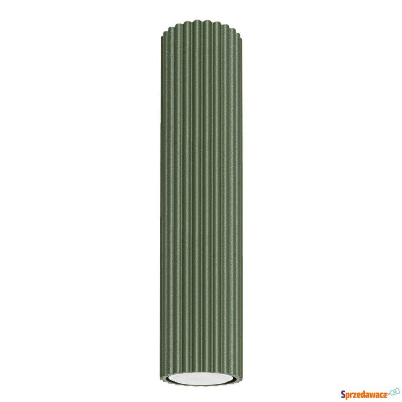 SELSEY Plafon Karbon 30 cm zielony...