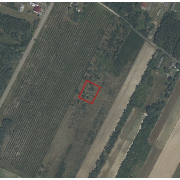 Działka budowlana Korzyce sprzedam, pow. 1200 m2  (12a) - zdjęcie 3