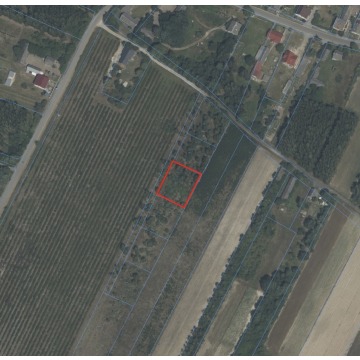Działka budowlana Korzyce sprzedam, pow. 1200 m2  (12a) - zdjęcie 5