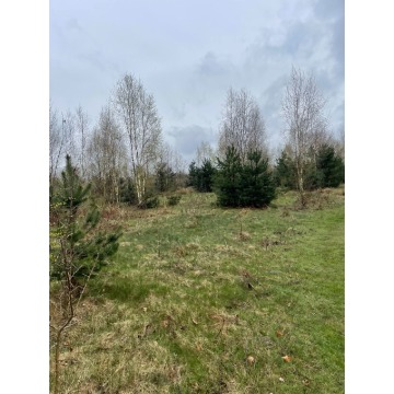 Działka budowlana Korzyce sprzedam, pow. 1200 m2  (12a) - zdjęcie 8