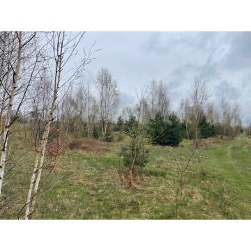 Działka budowlana Korzyce sprzedam, pow. 1200 m2  (12a) - zdjęcie 9