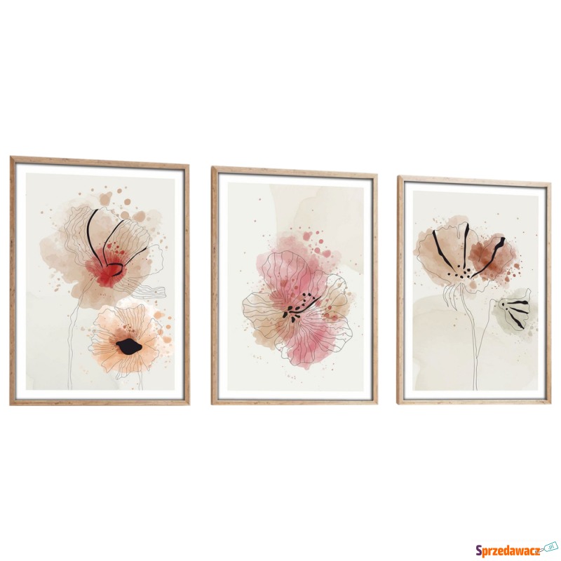 SELSEY Zestaw trzech obrazów Bodenass 50x35 cm... - Obrazy - Sochaczew