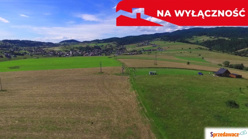 Działa w Grywałdzie z możliwoś...
