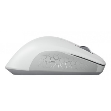 CHERRY JW-8550-0 myszka Uniwersalne Po prawej stronie RF Wireless Optyczny 4000 DPI