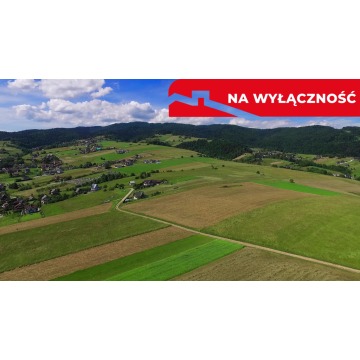Działka w Grywałdzie; 1,1003 ha; warunki zabudowy