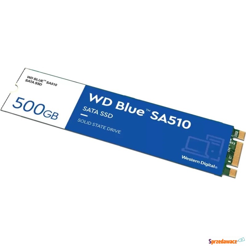 WD Blue SA510 M.2 500GB - Dyski twarde - Gdynia