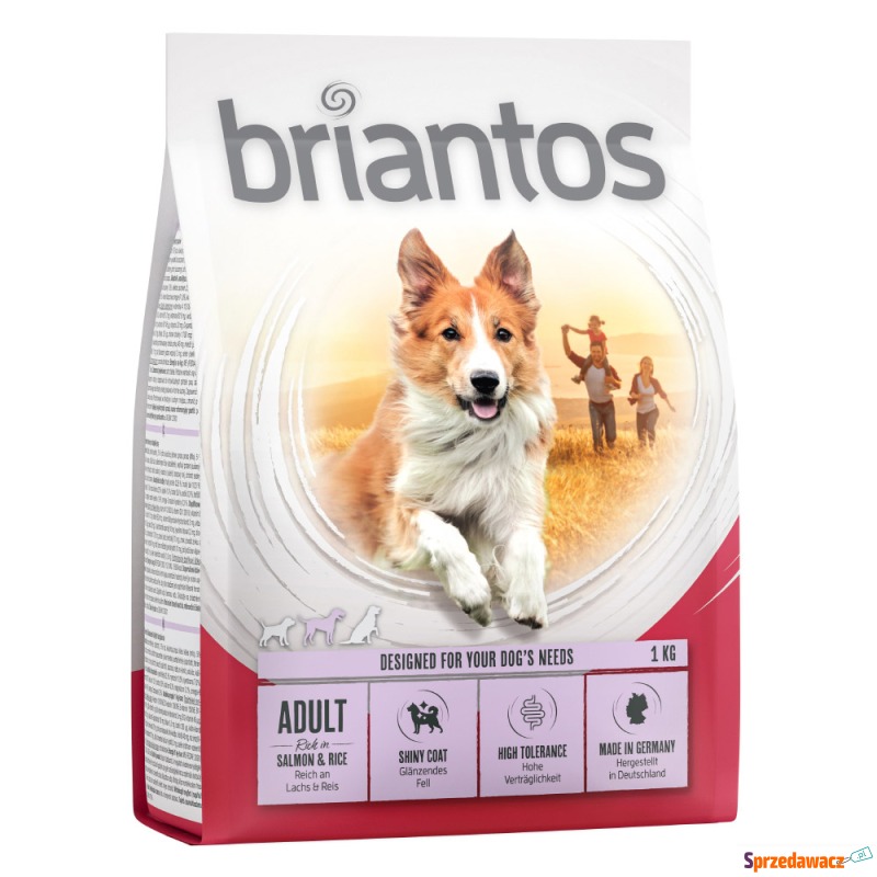 Briantos Adult, łosoś i ryż - 1...