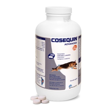 Cosequin Advance dla psów - 250 tabletek