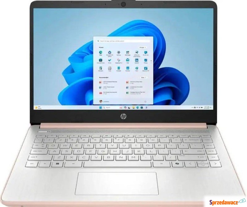 Laptop HP Stream 14-dq6015dx / Intel N150 / 16GB... - Laptopy - Płock
