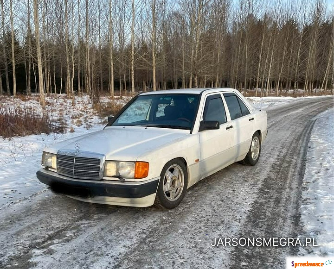 Mercedes W201 - 1991