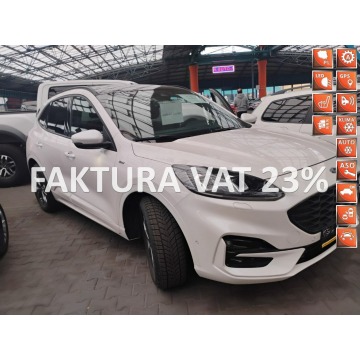 Ford Kuga - 2022
