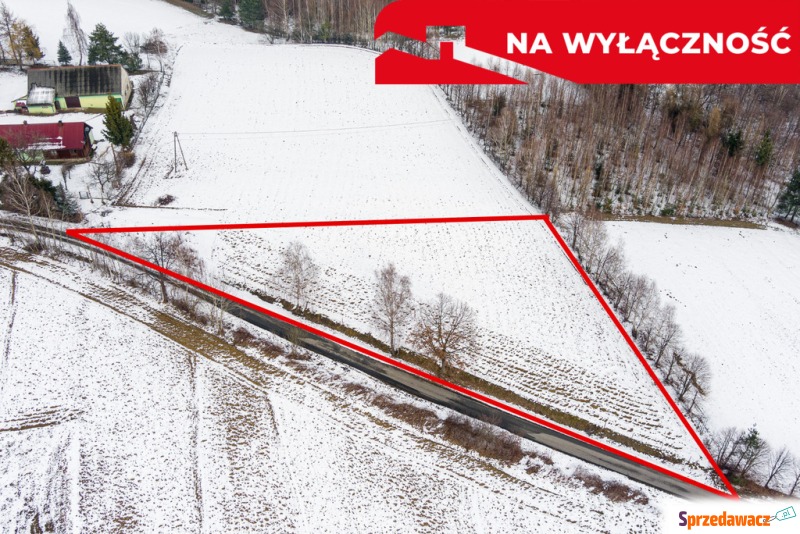 Działka budowlana WIDOKOWA 19 ar...