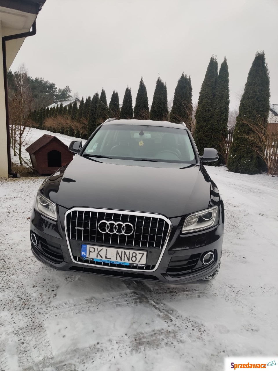 Audi Q5 2012