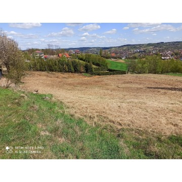 Działka rolno-budowlana (5600m2) ul. Leśna MEDIA (Tuchów)