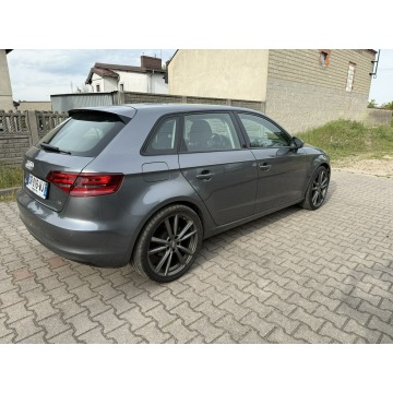 Audi A3  Hatchback 2013,  1.6 diesel - Na sprzedaż za 36 900 zł - Poniec - zdjęcie 4