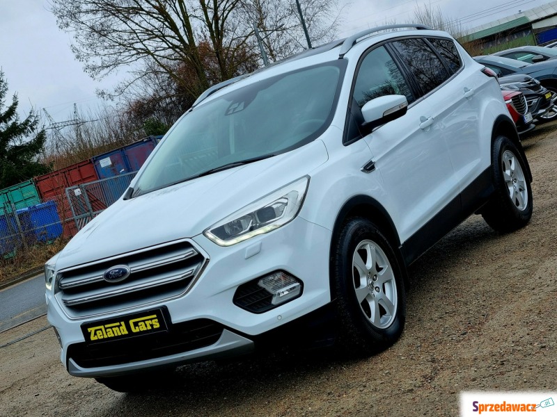 Ford Kuga  SUV 2019,  2.0 diesel, automat - Na sprzedaż za 49 900 zł - Szczecin