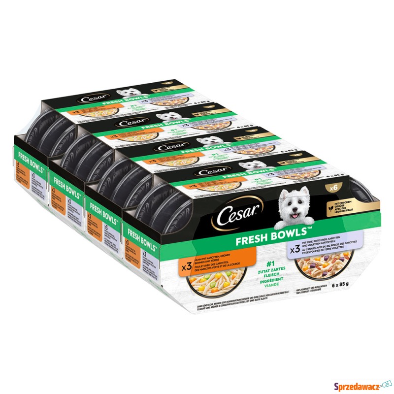 Cesar Fresh Bowls - Kurczak i...