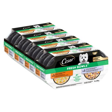 Cesar Fresh Bowls - Kurczak i kaczka w sosie (48 x 85 g)