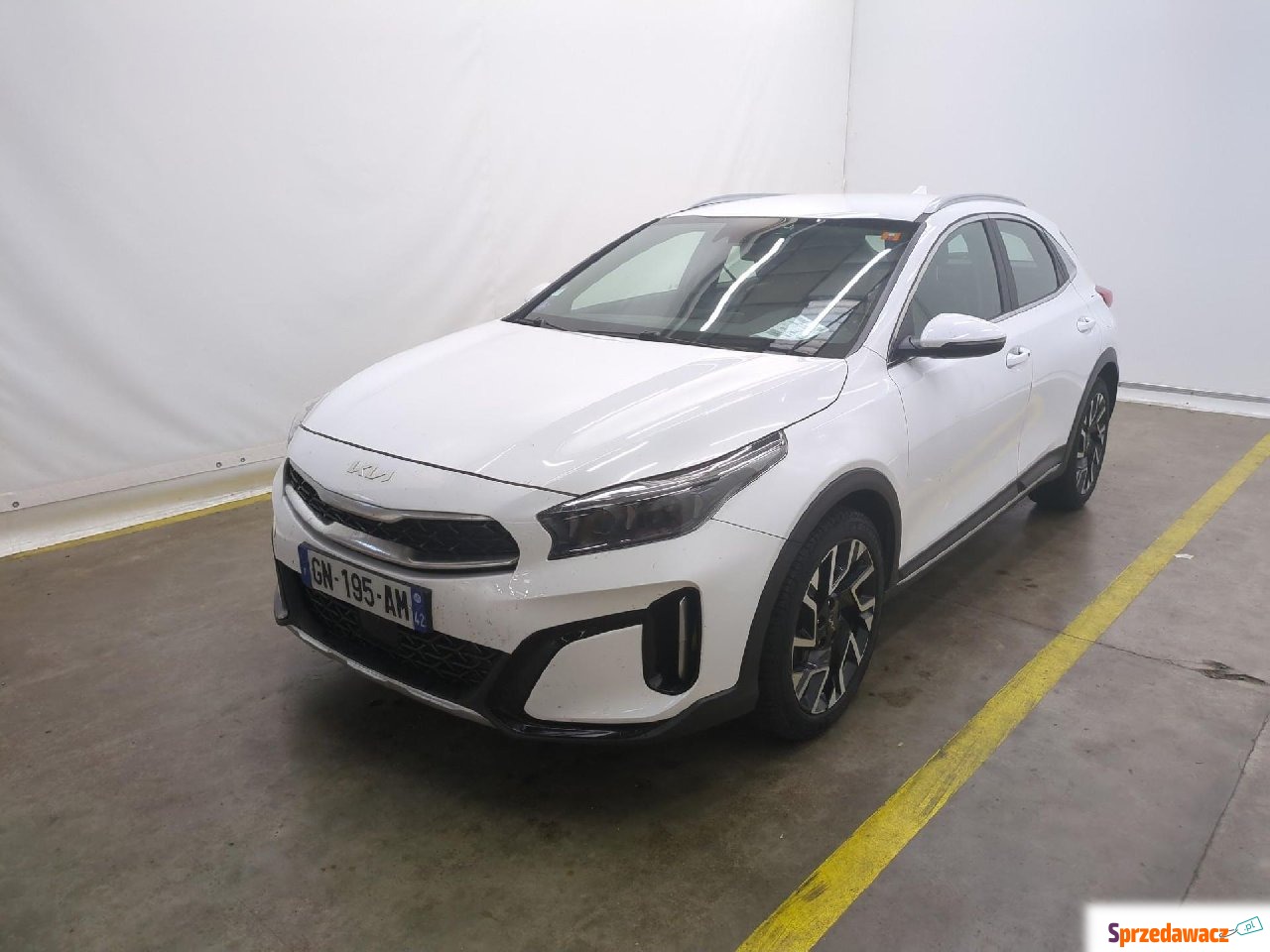 Kia  '2023, Benzyna, z silnikiem...